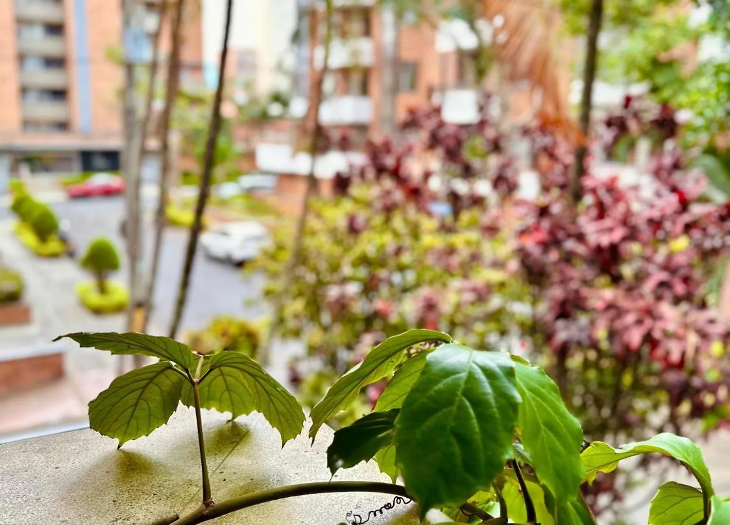 Hotel Fiorentina Medellin Colombia